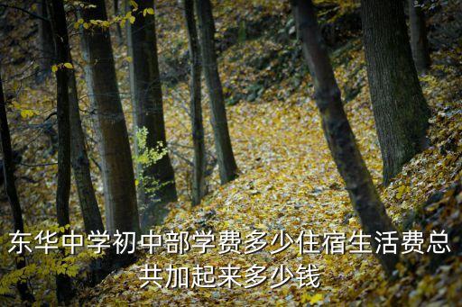 东华中学初中部学费多少住宿生活费总共加起来多少钱