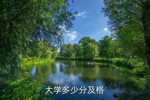 大学多少分及格