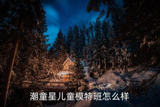 潮童星模特小课多少钱，潮童星儿童时装模特班怎么样