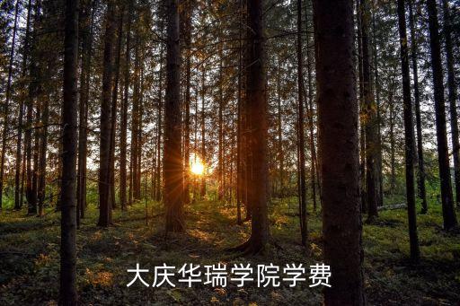 大庆华瑞学院学费