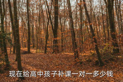 现在给高中孩子补课一对一多少钱