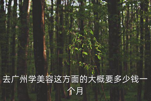 去广州学美容这方面的大概要多少钱一个月