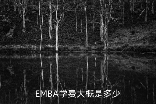 EMBA学费大概是多少
