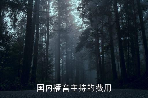 国内播音主持的费用
