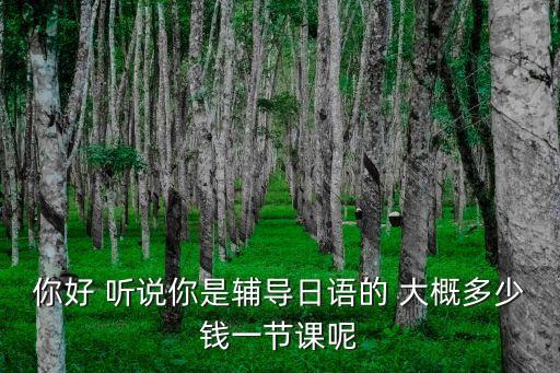 日语辅导班多少钱，你好 听说你是辅导日语的 大概多少钱一节课呢