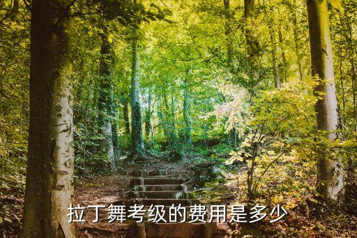 拉丁舞考级的费用是多少