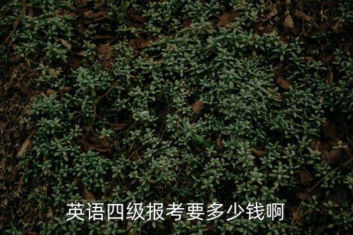 英语四级报考要多少钱啊