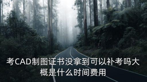 考CAD制图证书没拿到可以补考吗大概是什么时间费用