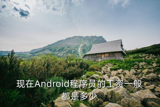 现在Android程序员的工资一般都是多少
