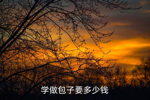 学做包子要多少钱