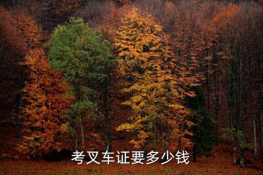 大庆考叉车证多少钱，考叉车证要多少钱啊