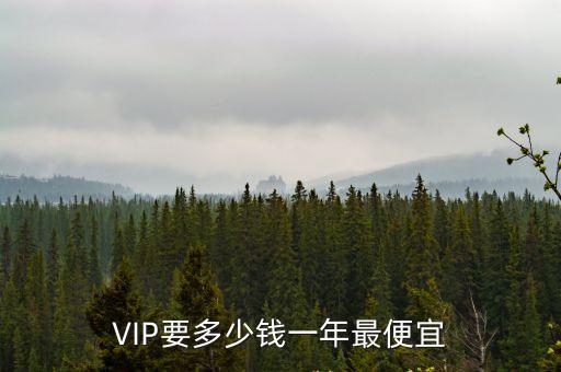 VIP要多少钱一年最便宜