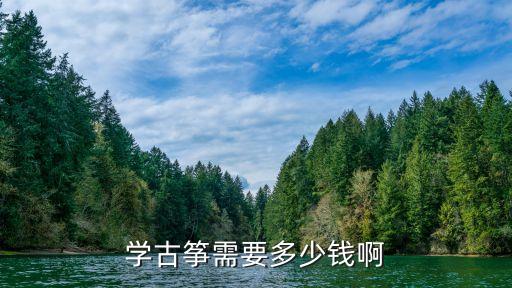 学古筝需要多少钱啊
