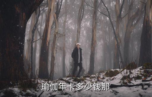 瑜伽年卡多少钱那