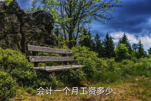 会计一个月工资多少