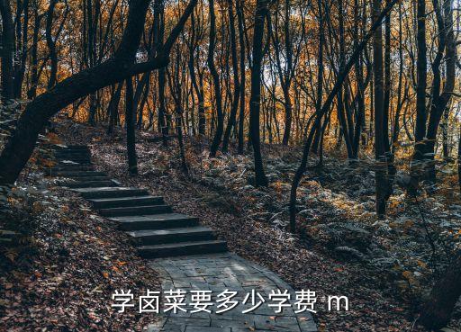 学卤菜要多少学费 m