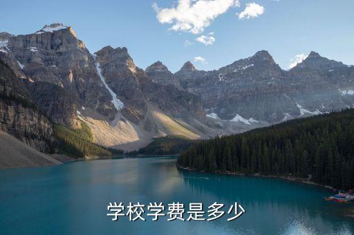 学校学费是多少