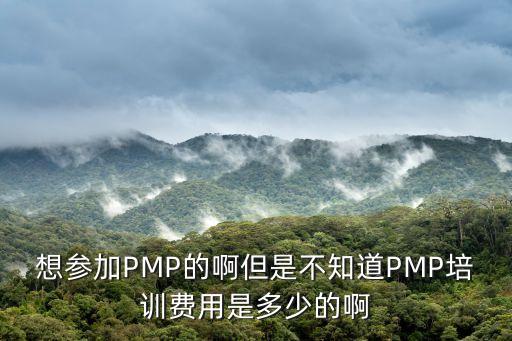 pmp培训需要多少钱，想参加PMP的啊但是不知道PMP培训费用是多少的啊