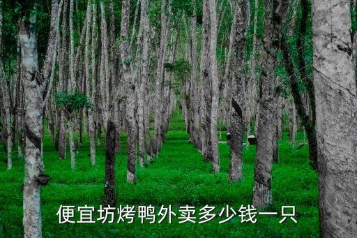 便宜坊烤鸭外卖多少钱一只