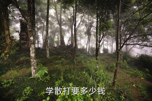 学散打要多少钱
