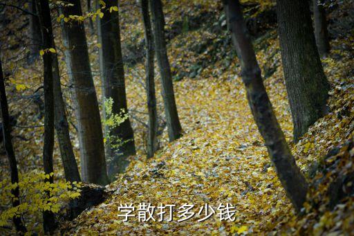 万州散打报名多少钱，学散打多少钱