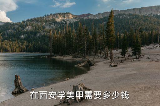 在西安学美甲需要多少钱