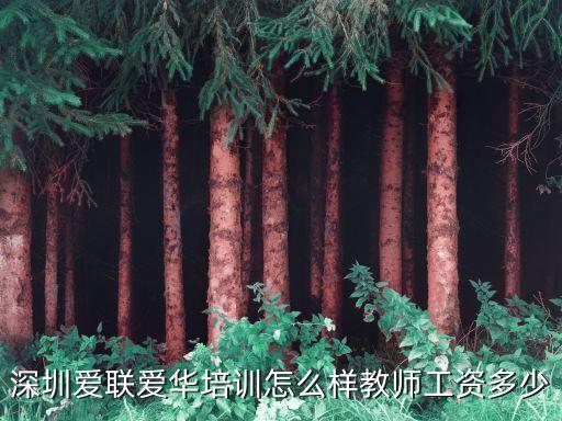 深圳爱联爱华培训怎么样教师工资多少