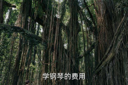 学钢琴的费用