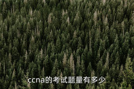 ccna题库有多少题，CCNA题库总共有多少题