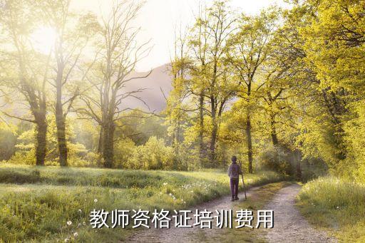 教师资格证培训一般多少钱，报考教师资格证培训费一般是多少