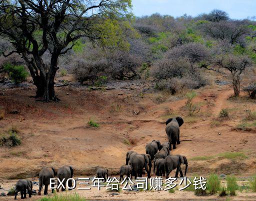 EXO三年给公司赚多少钱