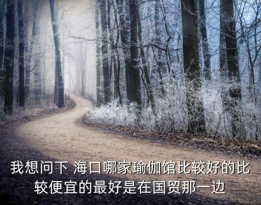 我想问下 海口哪家瑜伽馆比较好的比较便宜的最好是在国贸那一边