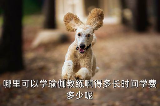 哪里可以学瑜伽教练啊得多长时间学费多少呢