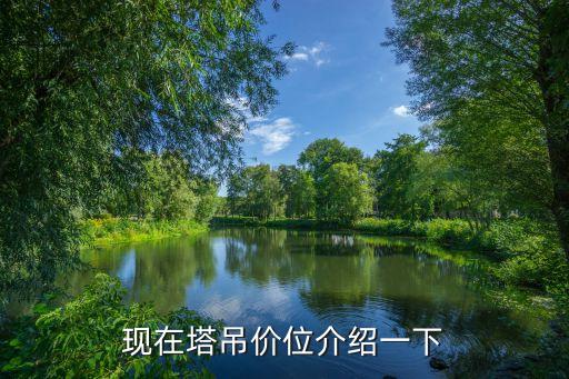 现在塔吊价位介绍一下