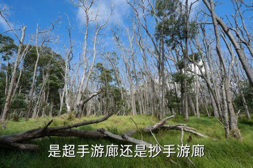 是超手游廊还是抄手游廊