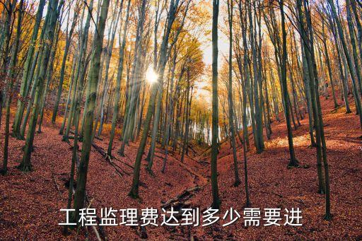 工程监理费达到多少需要进