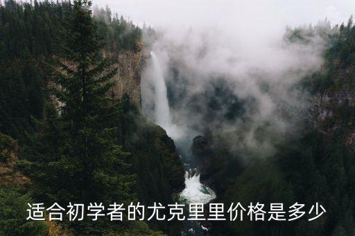 适合初学者的尤克里里价格是多少