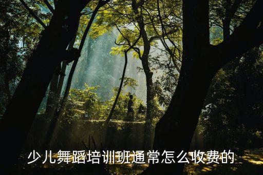 少儿舞蹈班培训多少钱，少儿舞蹈培训班通常怎么收费的