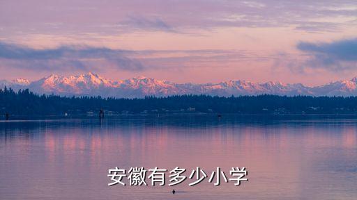 合肥市有多少小学，安徽有多少小学