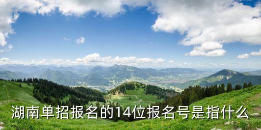 湖南单招报名的14位报名号是指什么