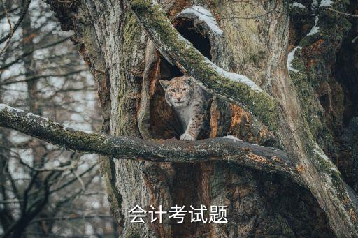 中华会计网题库多少钱，老师 山东会计从业资格考试题库软件多少钱