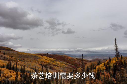 茶艺培训班费用多少，中级茶艺师培训学费多少