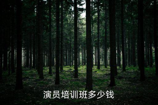 演员培训班多少钱
