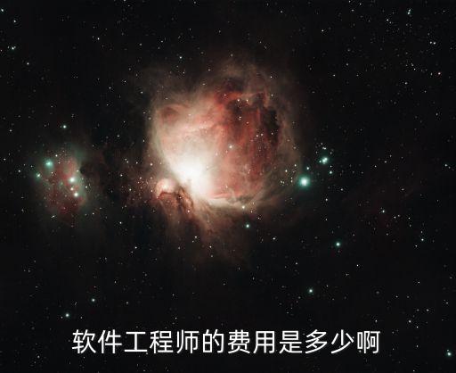 软件工程师的费用是多少啊