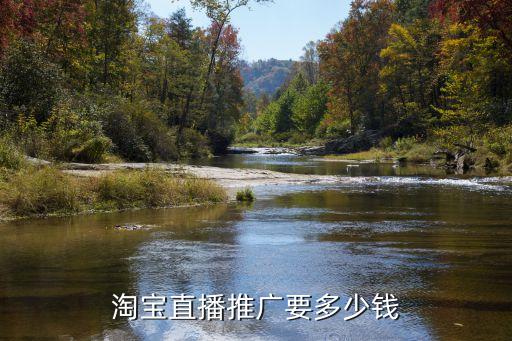 淘宝直播推广要多少钱