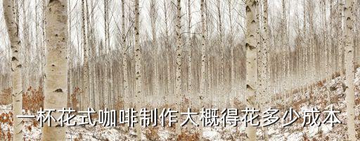 一杯花式咖啡制作大概得花多少成本