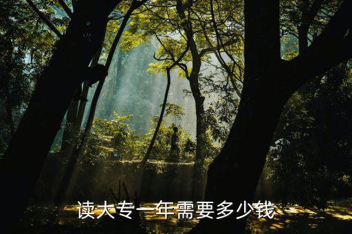 读大专一年需要多少钱