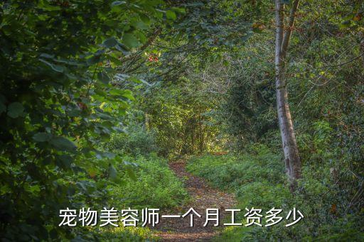 宠物美容师一个月工资多少