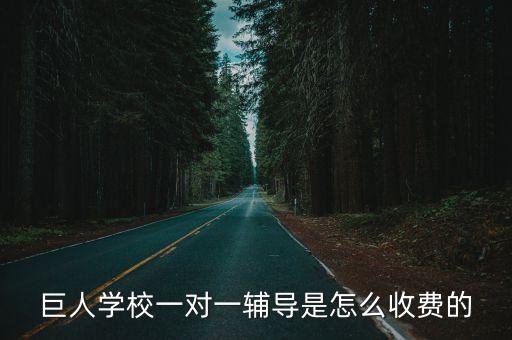 巨人学校一对一辅导是怎么收费的