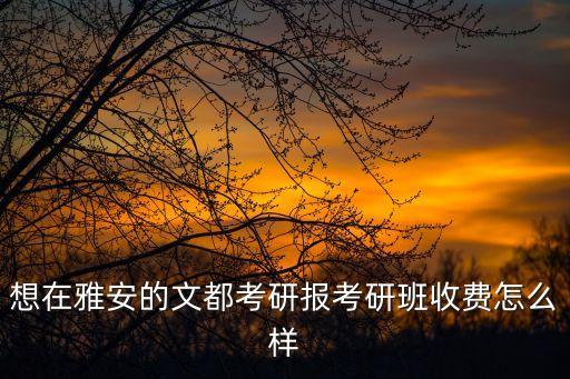 文都考研历史多少钱，文都考研政治要多少钱